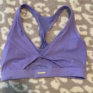 Whitney Simmons sports bra